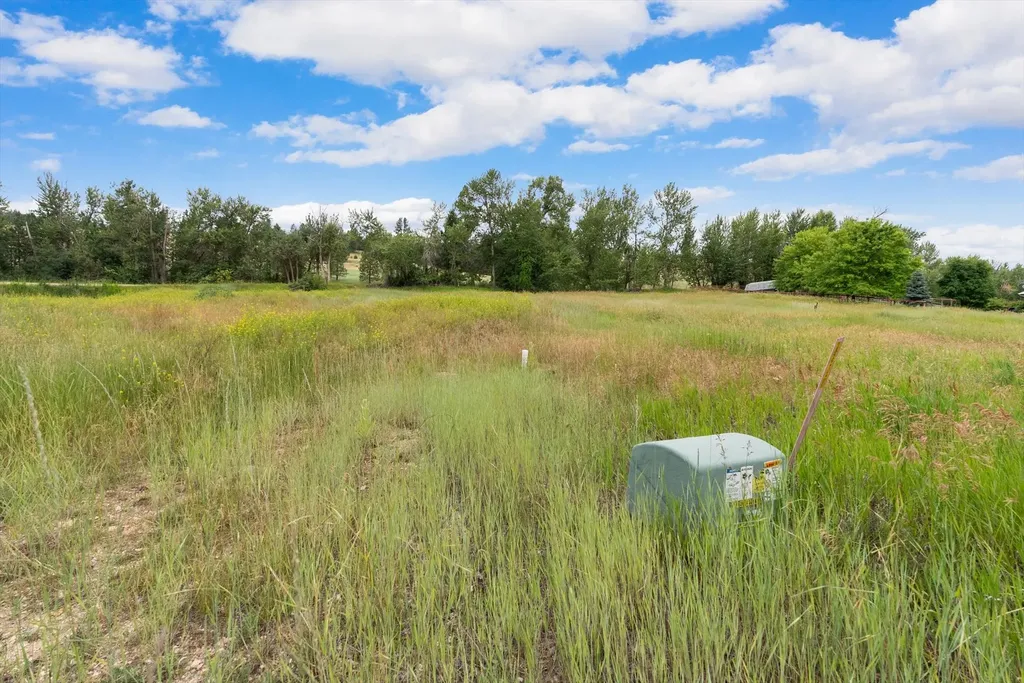 12458 Nature Court Lolo MT 59847