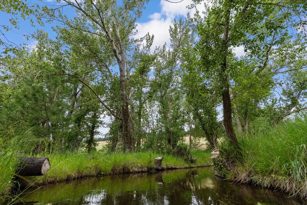 12458 Nature Court Lolo MT 59847