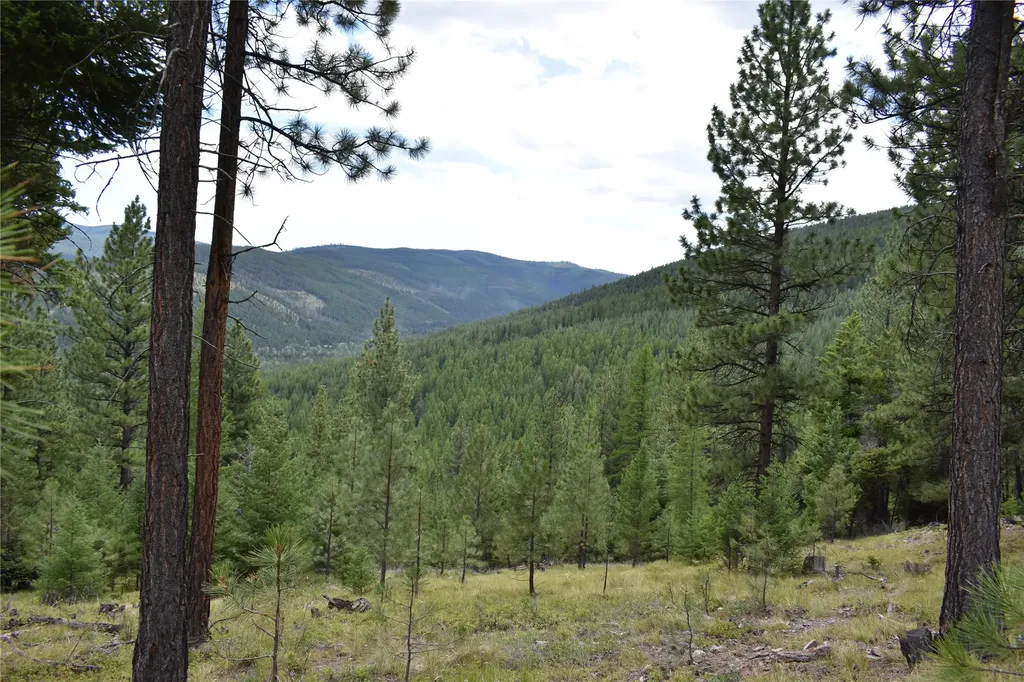Nhn Wild Bill Road Kila MT 59920