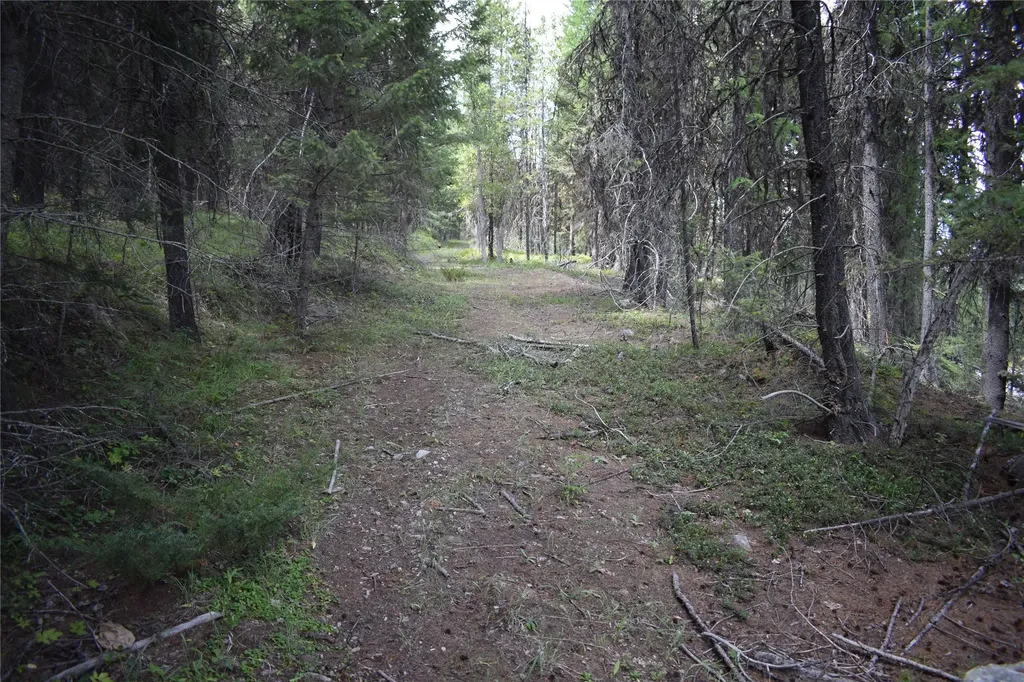 Nhn Wild Bill Road Kila MT 59920
