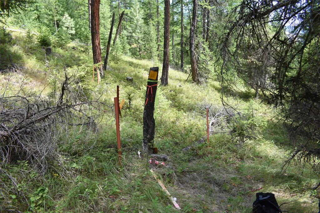 Nhn Wild Bill Road Kila MT 59920