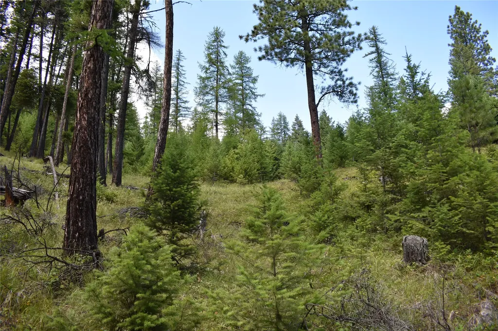 Nhn Wild Bill Road Kila MT 59920