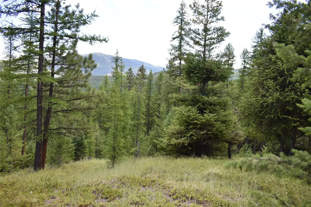 Nhn Wild Bill Road Kila MT 59920