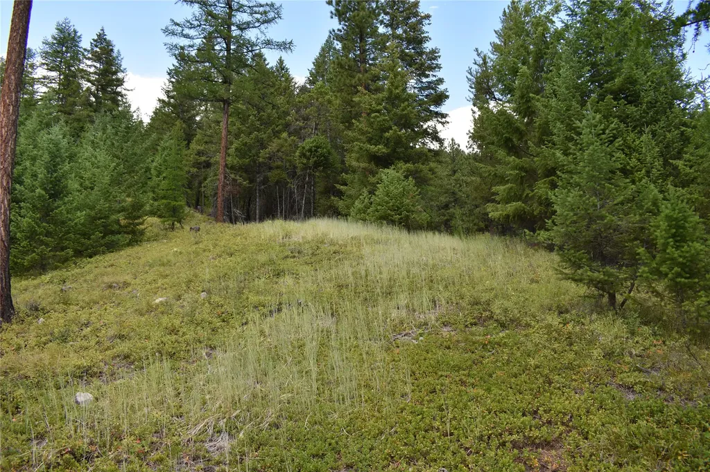 Nhn Wild Bill Road Kila MT 59920