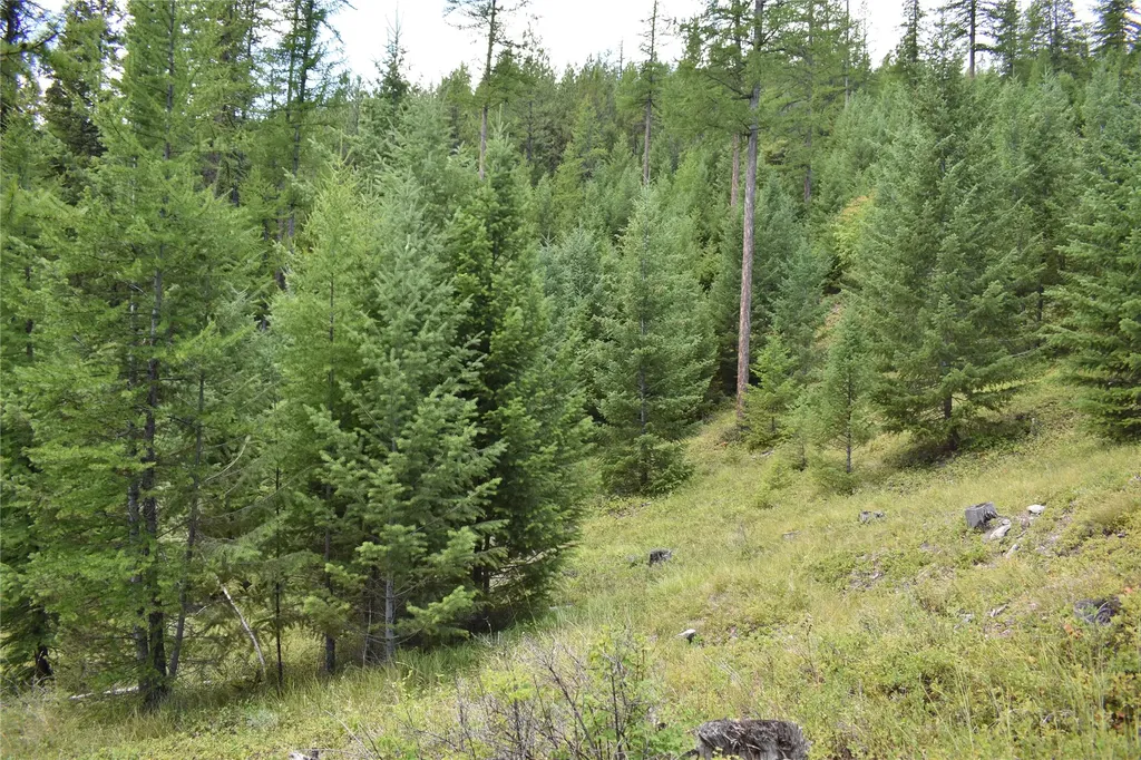 Nhn Wild Bill Road Kila MT 59920
