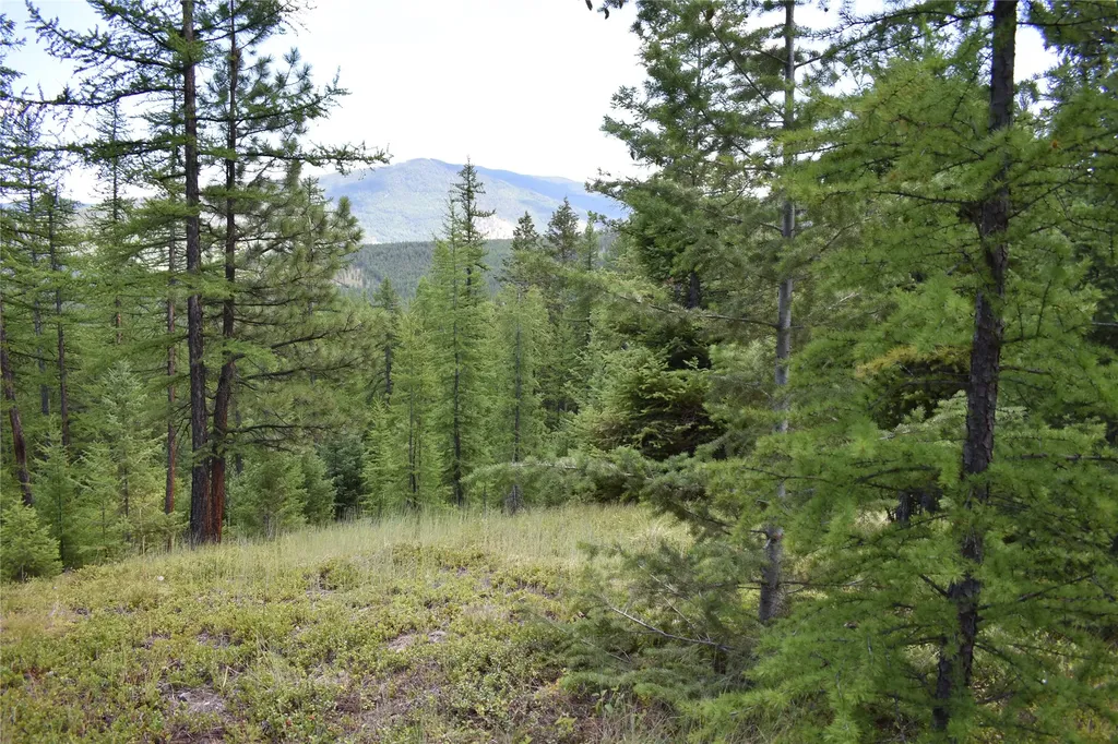 Nhn Wild Bill Road Kila MT 59920