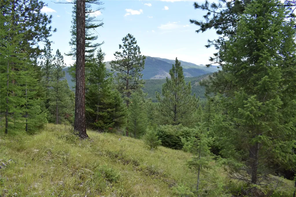 Nhn Wild Bill Road Kila MT 59920
