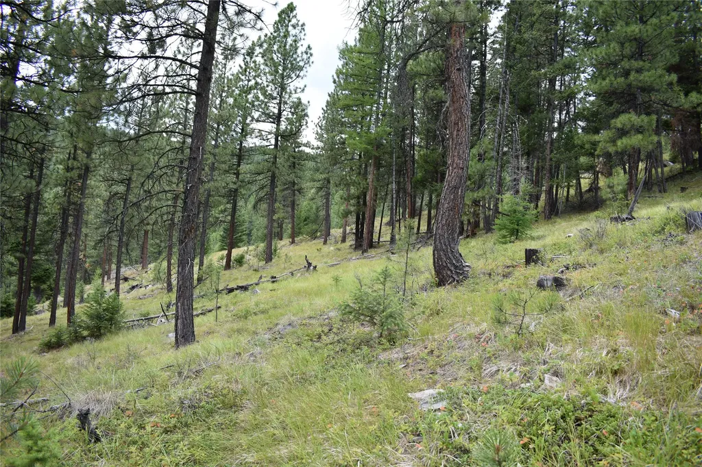 Nhn Wild Bill Road Kila MT 59920