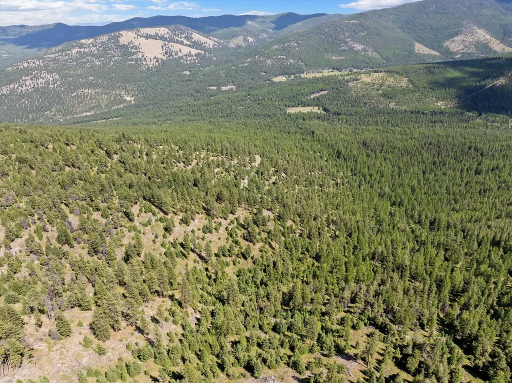 Nhn Wild Bill Road Kila MT 59920