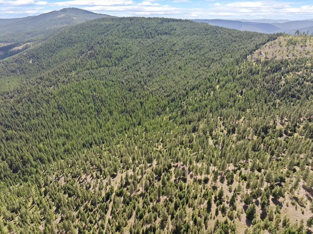 Nhn Wild Bill Road Kila MT 59920
