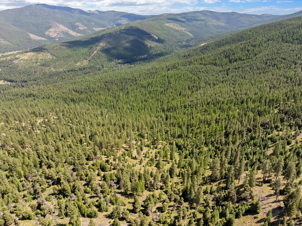 Nhn Wild Bill Road Kila MT 59920