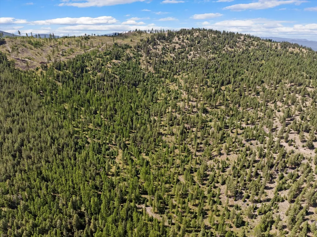 Nhn Wild Bill Road Kila MT 59920