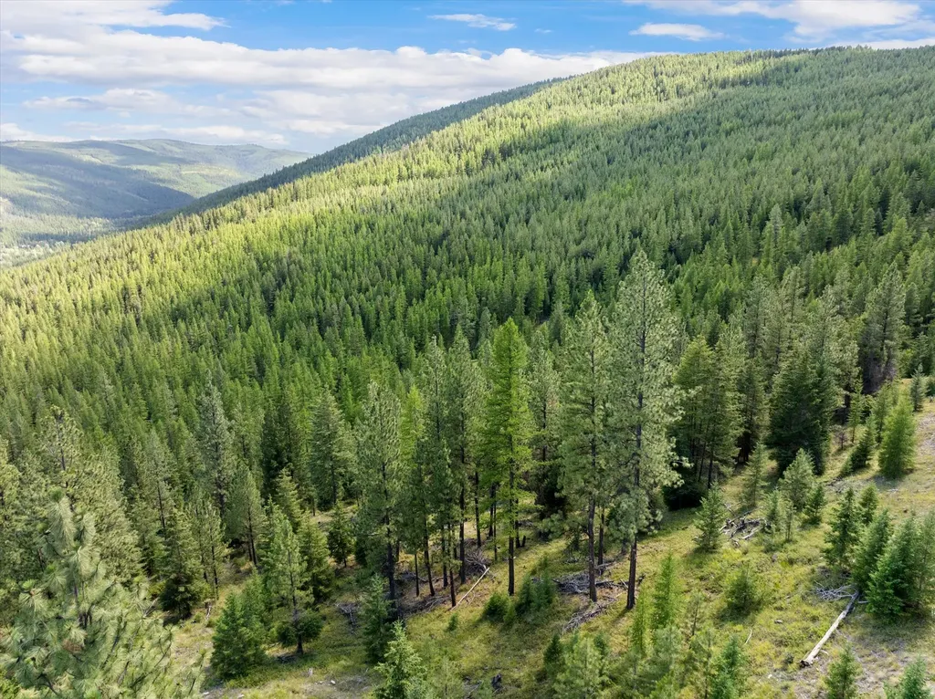 Nhn Wild Bill Road Kila MT 59920