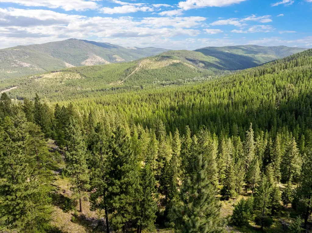 Nhn Wild Bill Road Kila MT 59920