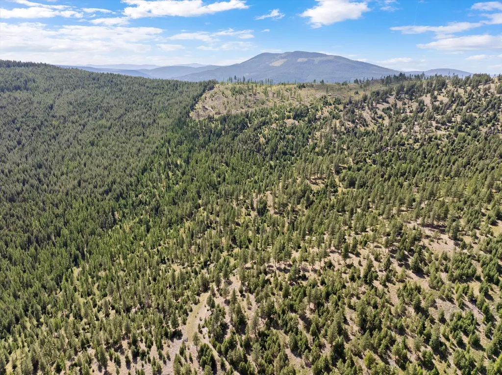 Nhn Wild Bill Road Kila MT 59920
