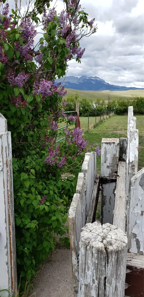 3876 W Bitterroot Lane Augusta MT 59410