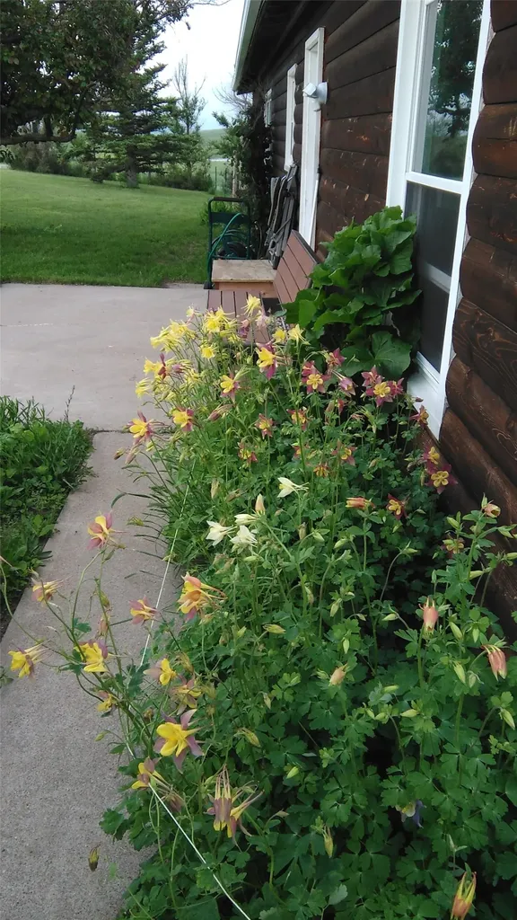 3876 W Bitterroot Lane Augusta MT 59410