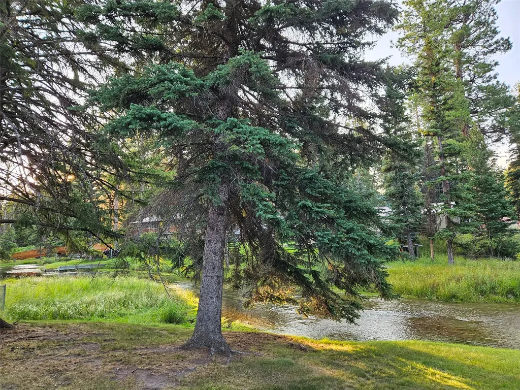 2133 W Mt Highway 200 Lincoln MT 59639
