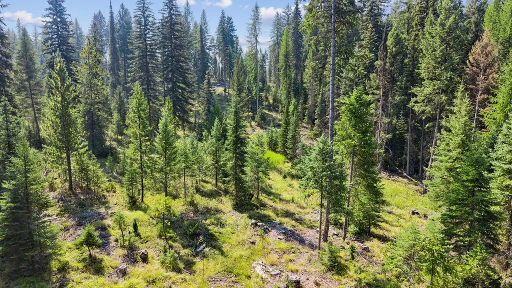 767 Lupfer Road Whitefish MT 59937