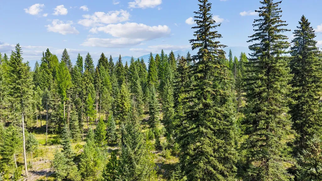 767 Lupfer Road Whitefish MT 59937