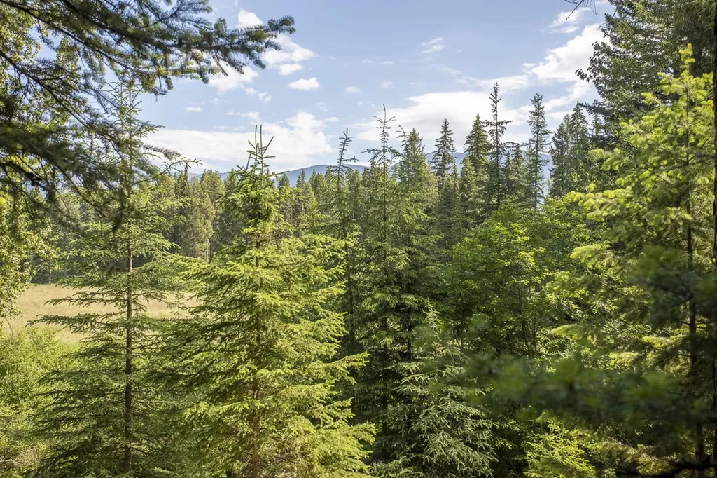 767 Lupfer Road Whitefish MT 59937