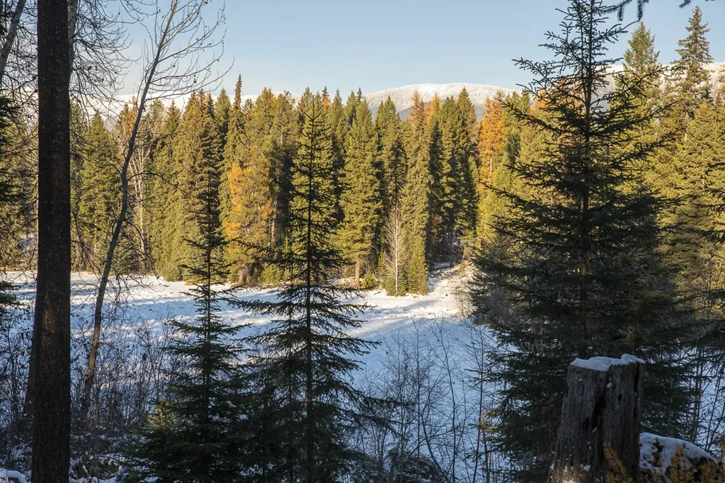767 Lupfer Road Whitefish MT 59937
