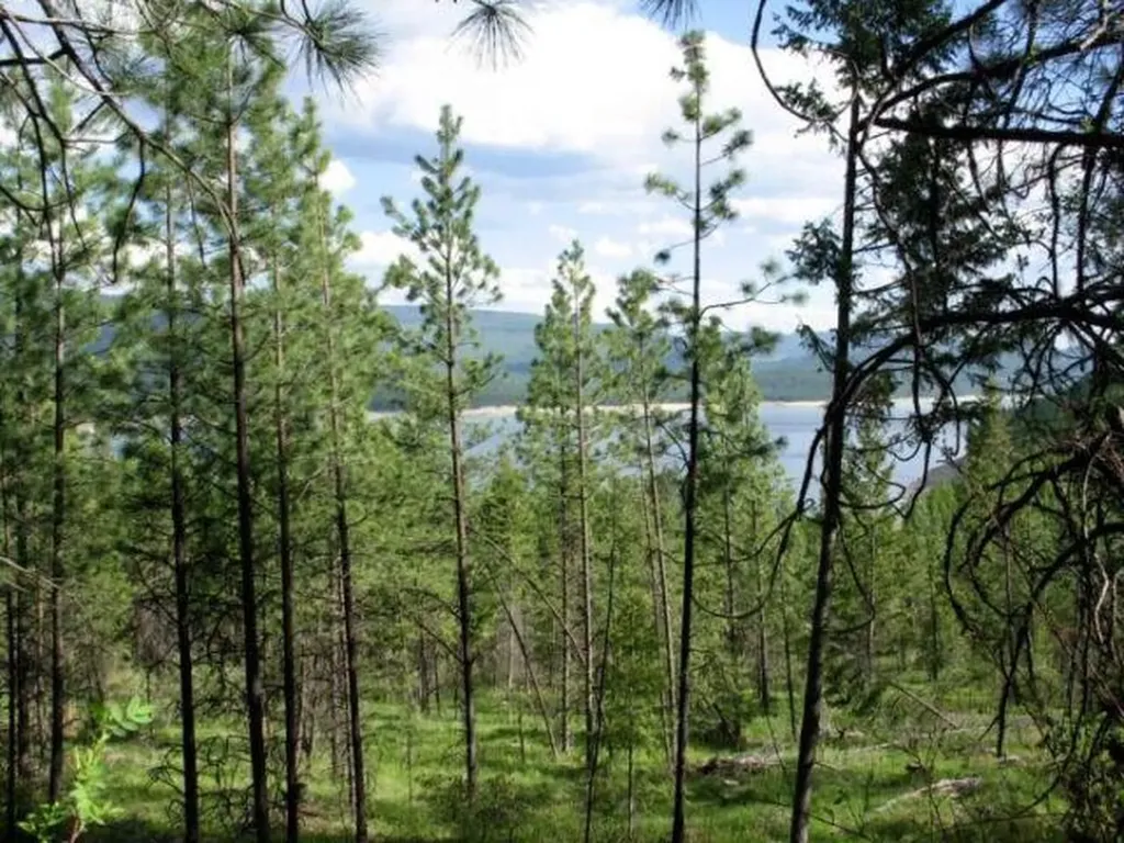 Rv Lot 13-17 Montana Wild Drive Libby MT 59923