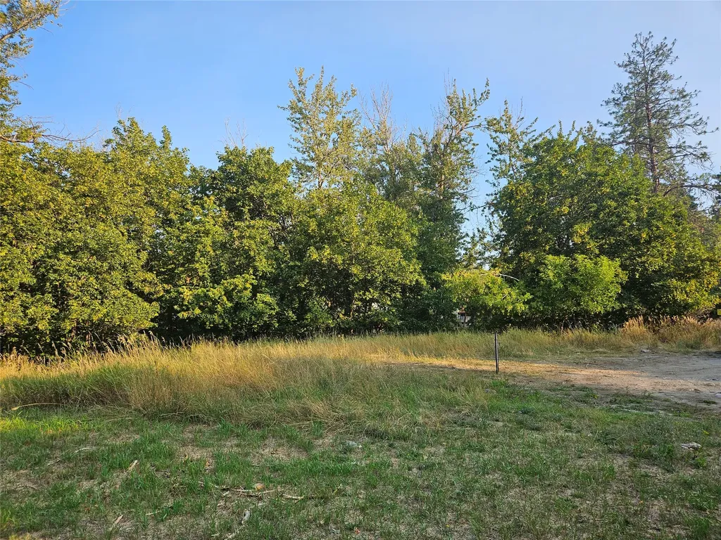 2411 Raymond Avenue Missoula MT 59802