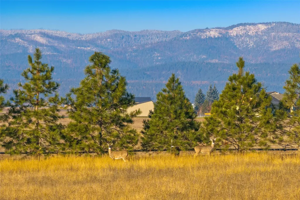 881 Lone Coyote Trail Kalispell MT 59901