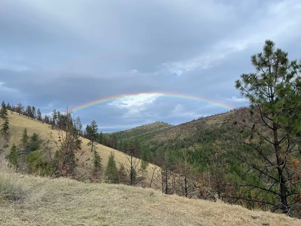 Tbd Mclaughlin Creek Road Paradise MT 59856