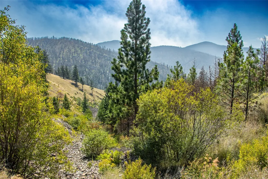 Tbd Mclaughlin Creek Road Paradise MT 59856