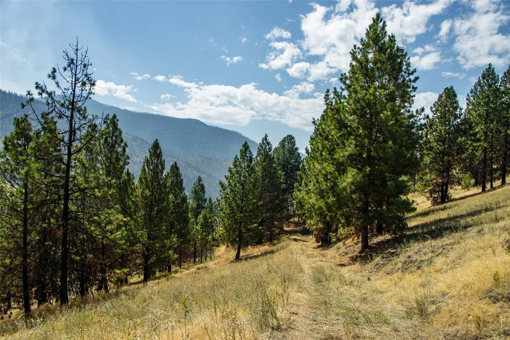Tbd Mclaughlin Creek Road Paradise MT 59856