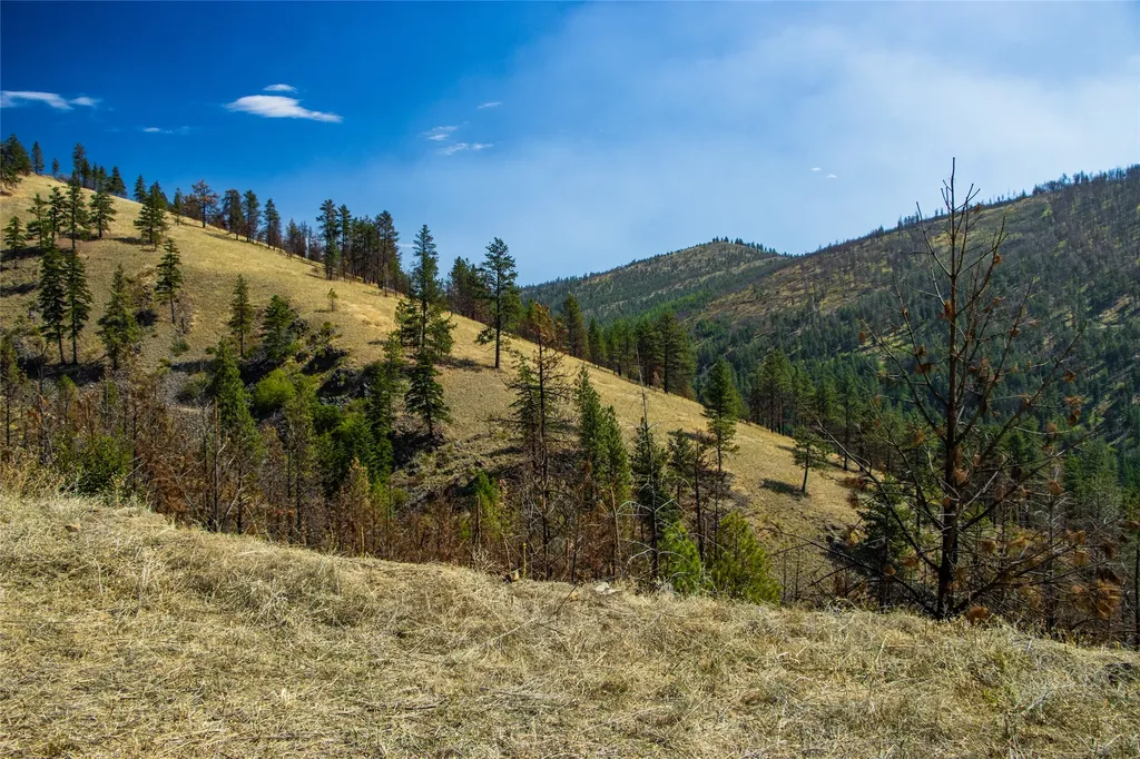 Tbd Mclaughlin Creek Road Paradise MT 59856