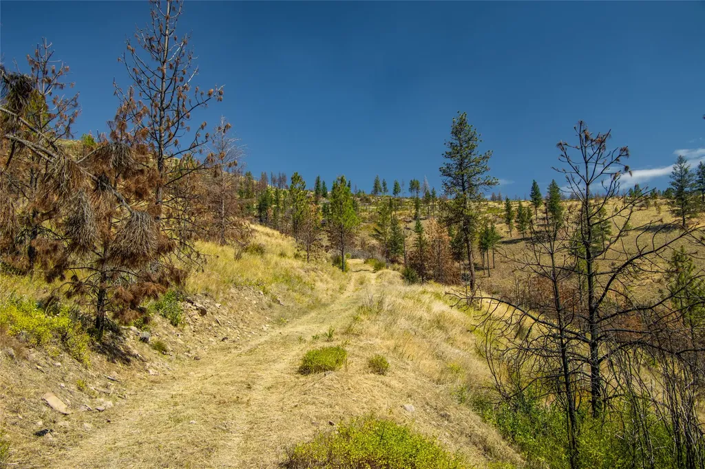 Tbd Mclaughlin Creek Road Paradise MT 59856