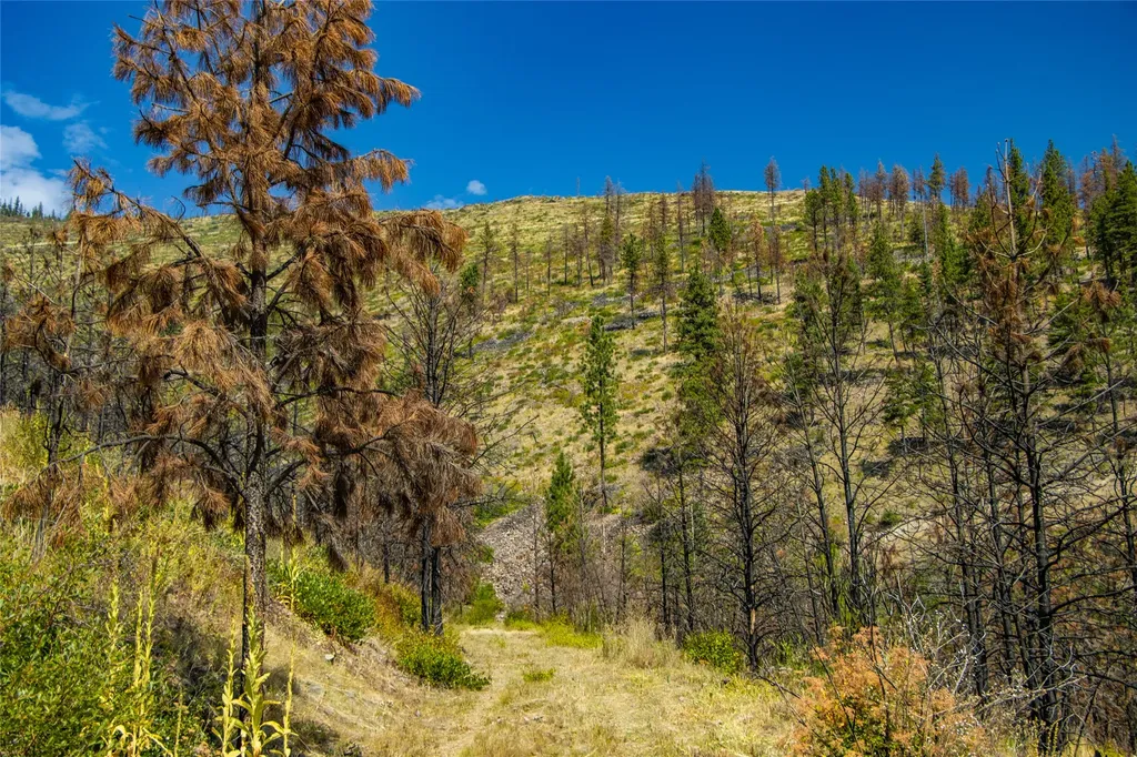 Tbd Mclaughlin Creek Road Paradise MT 59856