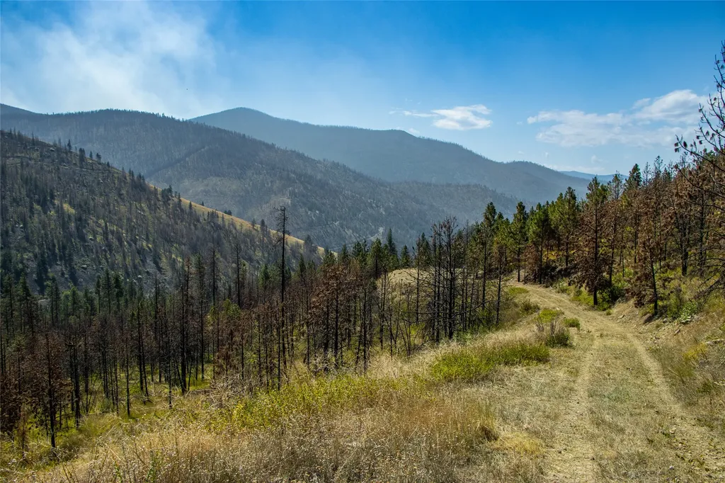 Tbd Mclaughlin Creek Road Paradise MT 59856