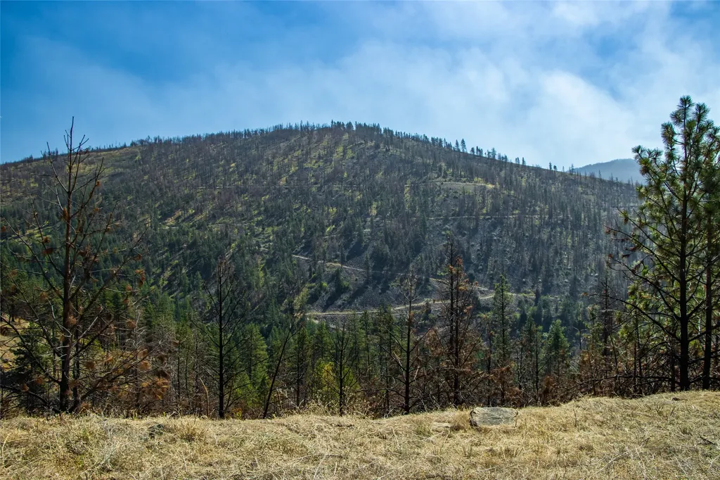 Tbd Mclaughlin Creek Road Paradise MT 59856