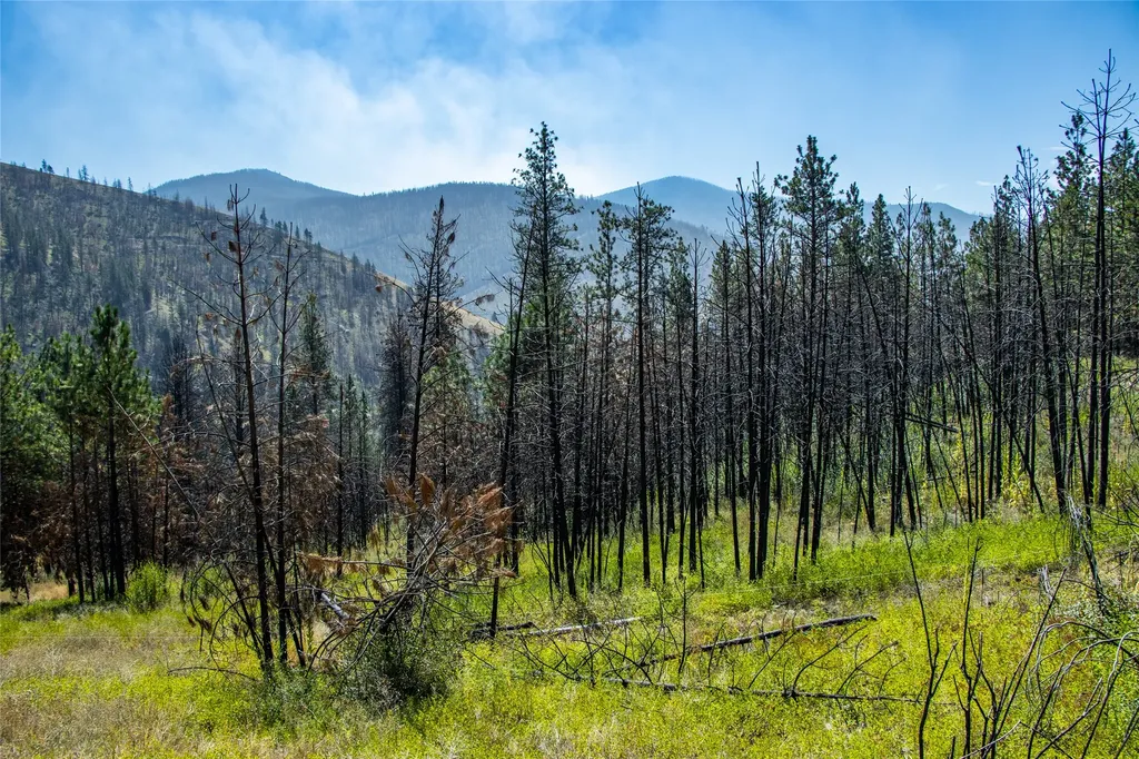 Tbd Mclaughlin Creek Road Paradise MT 59856