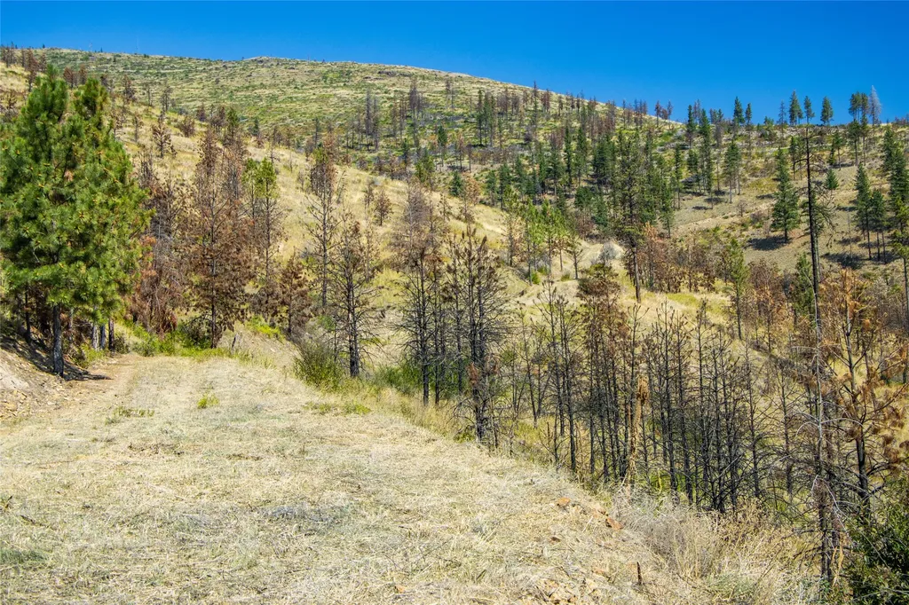 Tbd Mclaughlin Creek Road Paradise MT 59856