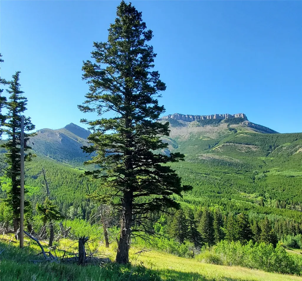 3384 Joslin Creek Road Augusta MT 59410
