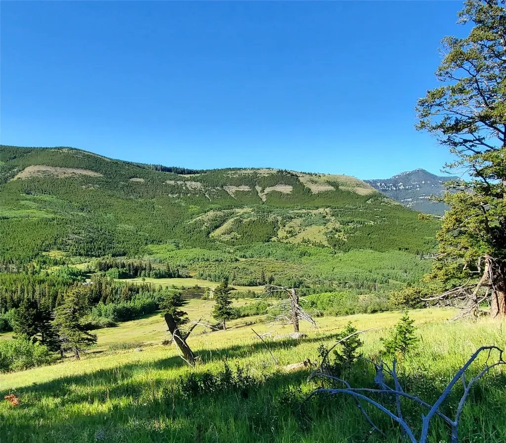 3384 Joslin Creek Road Augusta MT 59410