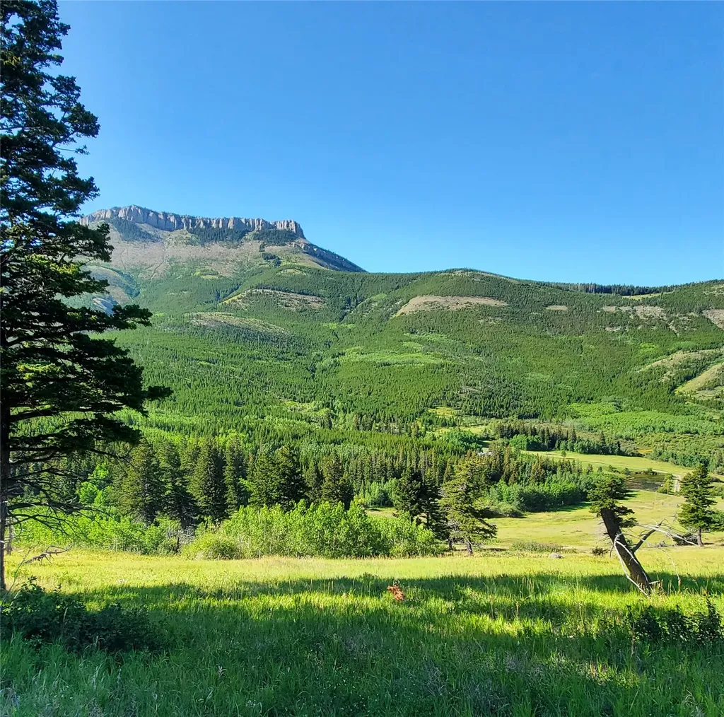 3384 Joslin Creek Road Augusta MT 59410
