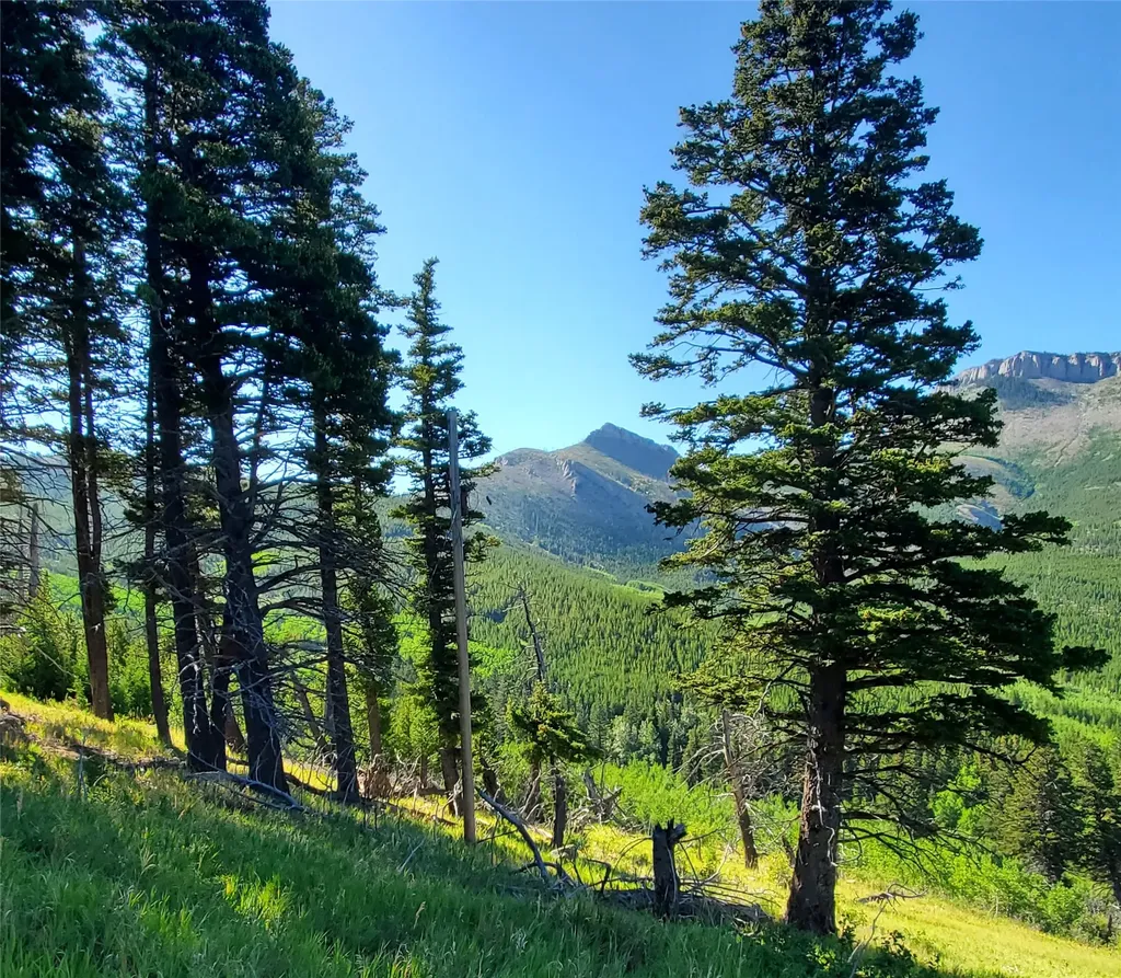 3384 Joslin Creek Road Augusta MT 59410