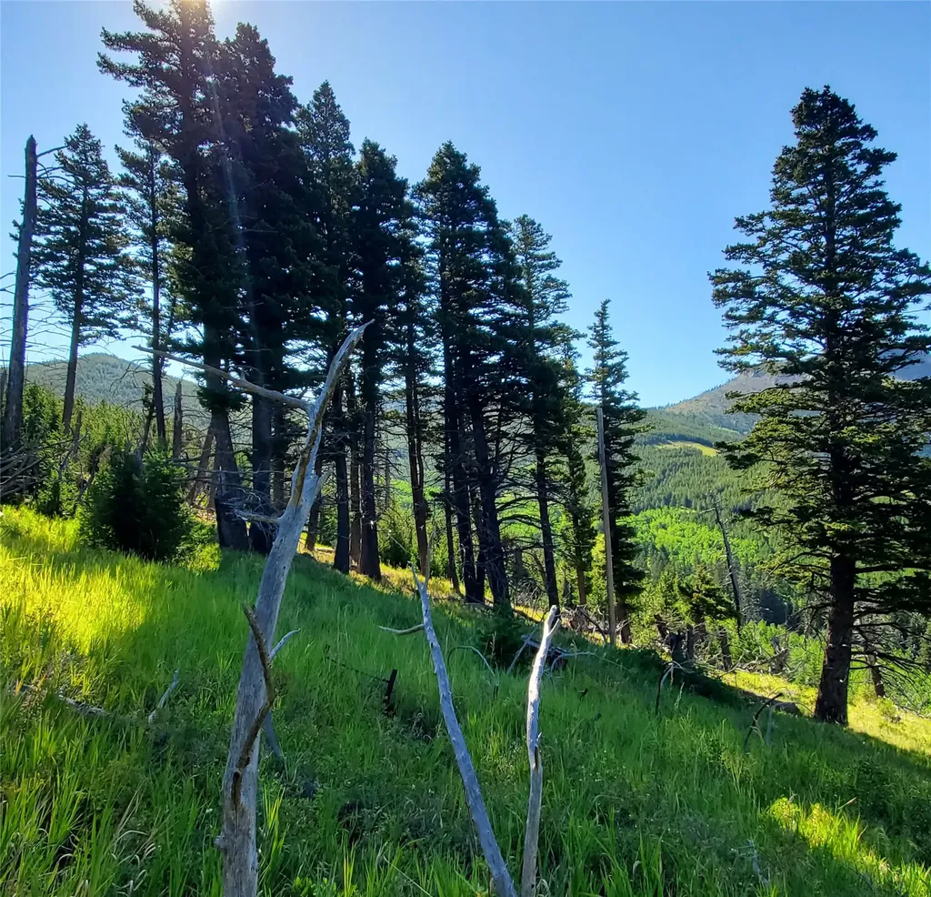 3384 Joslin Creek Road Augusta MT 59410