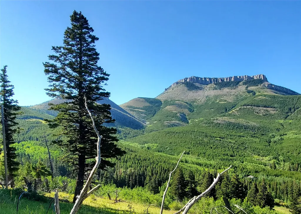 3384 Joslin Creek Road Augusta MT 59410
