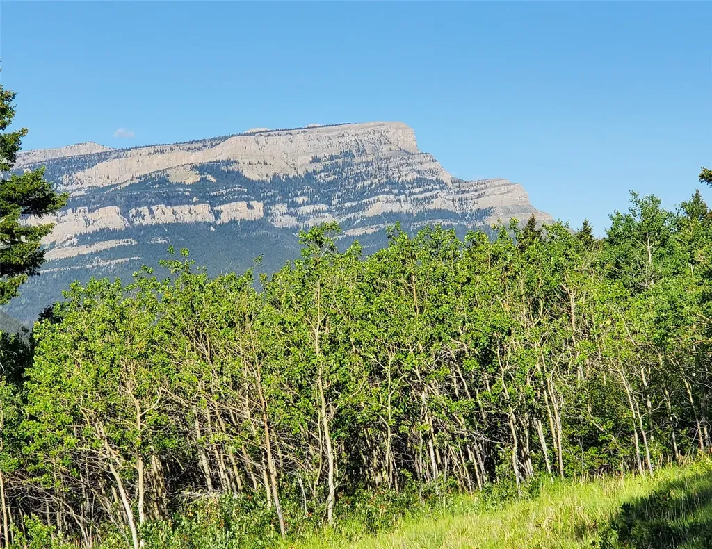 3384 Joslin Creek Road Augusta MT 59410