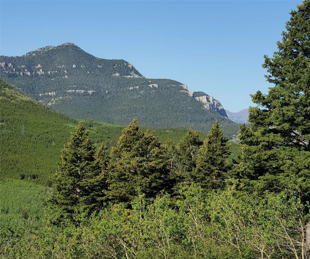 3384 Joslin Creek Road Augusta MT 59410