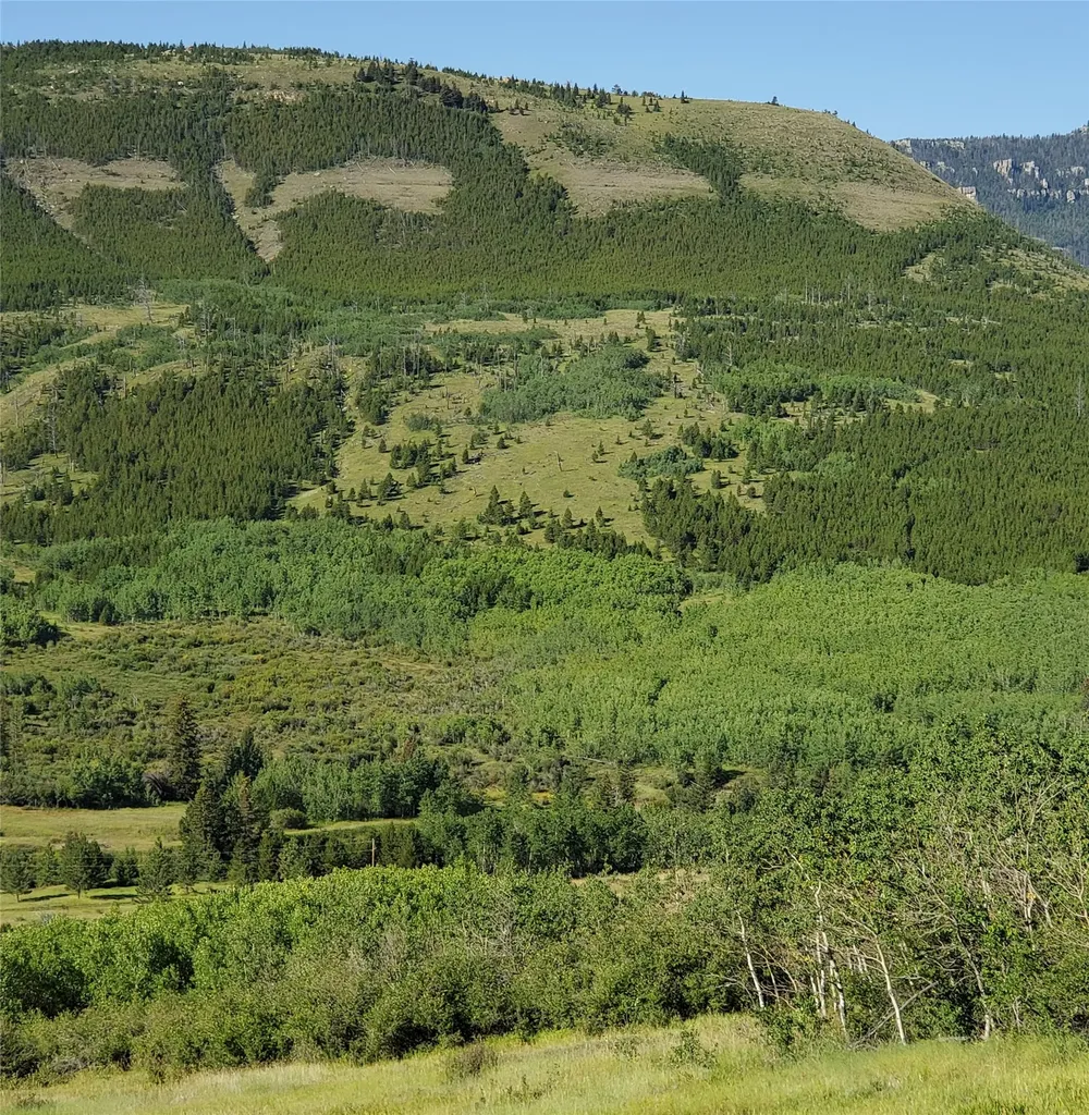 3384 Joslin Creek Road Augusta MT 59410