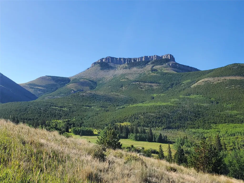 3384 Joslin Creek Road Augusta MT 59410