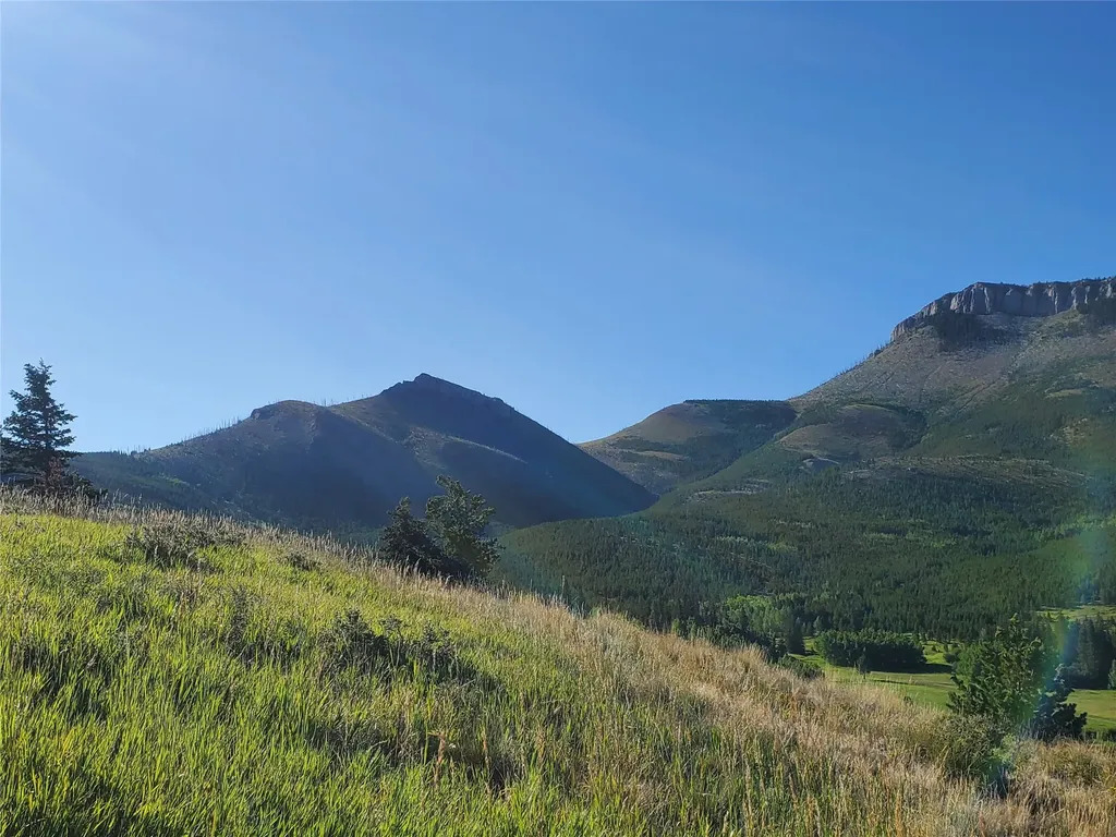 3384 Joslin Creek Road Augusta MT 59410